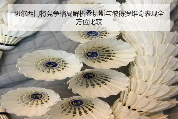 切尔西门将竞争格局解析桑切斯与彼得罗维奇表现全方位比较